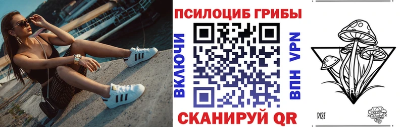 Галлюциногенные грибы мицелий  Наволоки 